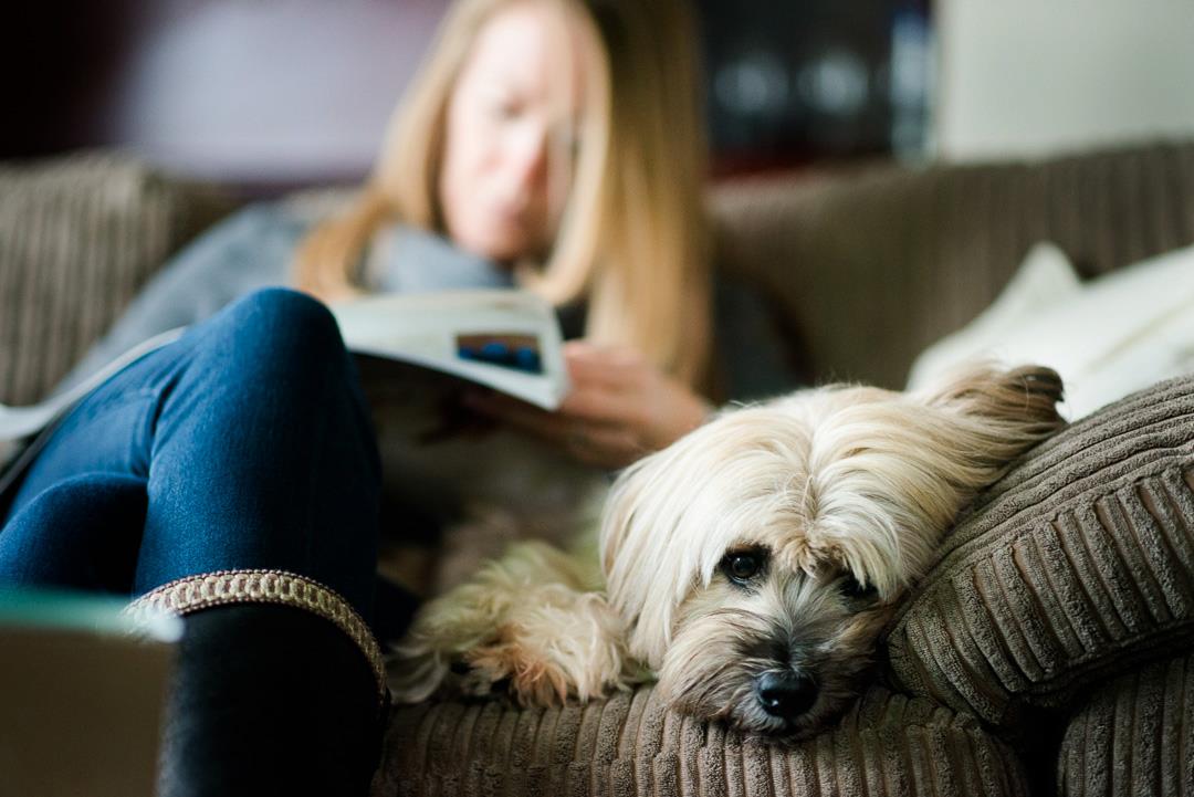 hampshire dog photographer rob dunning and his trusty Tibetan Terrier looking very cute.